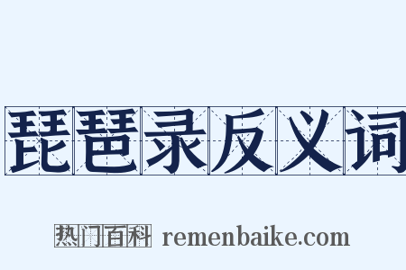 琵琶录反义词是什么意思的图片